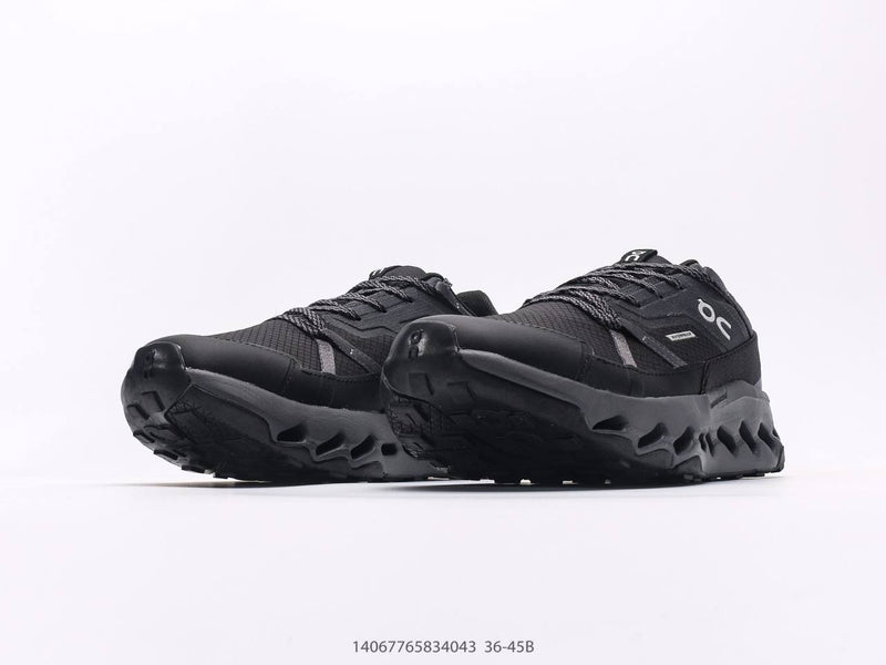 حول تشغيل Cloudhorizon Black